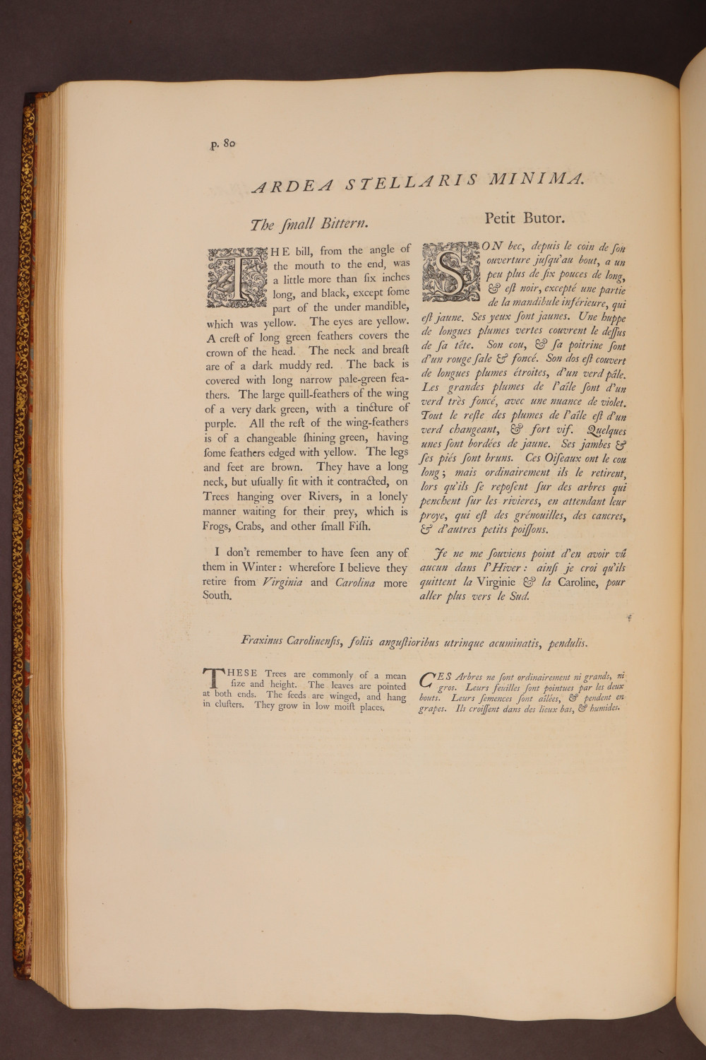 Page 80